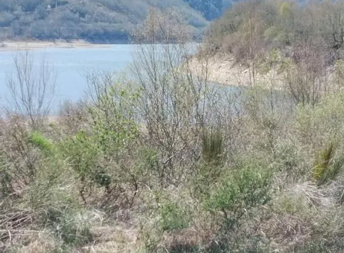 Vut El Refugio Апартаменты Вильяблино